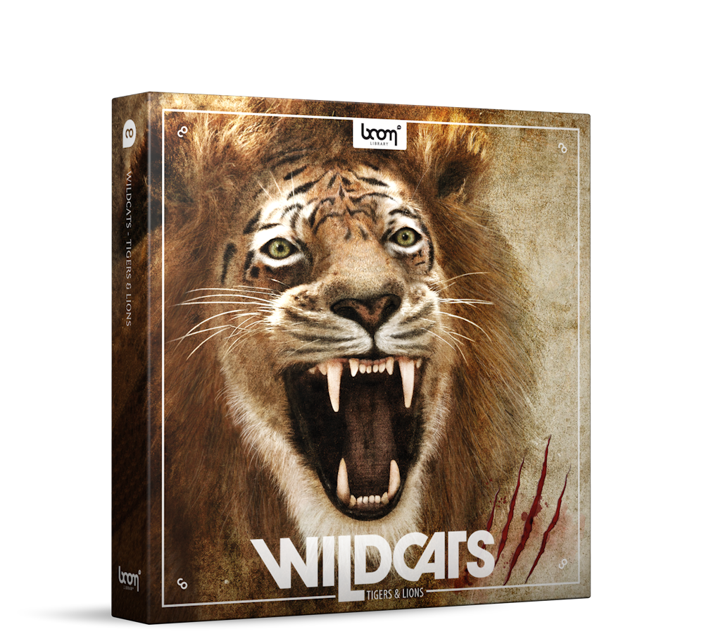 Boom Wildcats